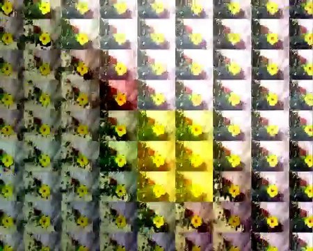 Mallorca Urlaub 2013