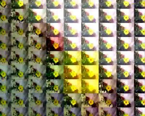 Mallorca Urlaub 2013