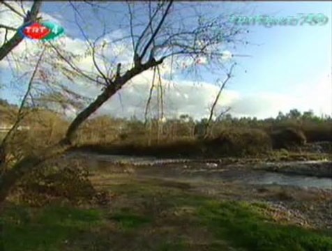 Halil İbrahim ALTINTAŞ-Karyolamın Demiri