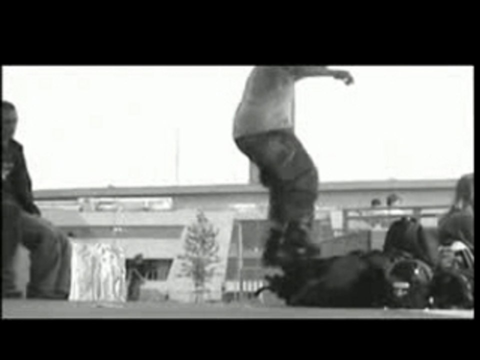 Hugo de Sousa, Skating Profile