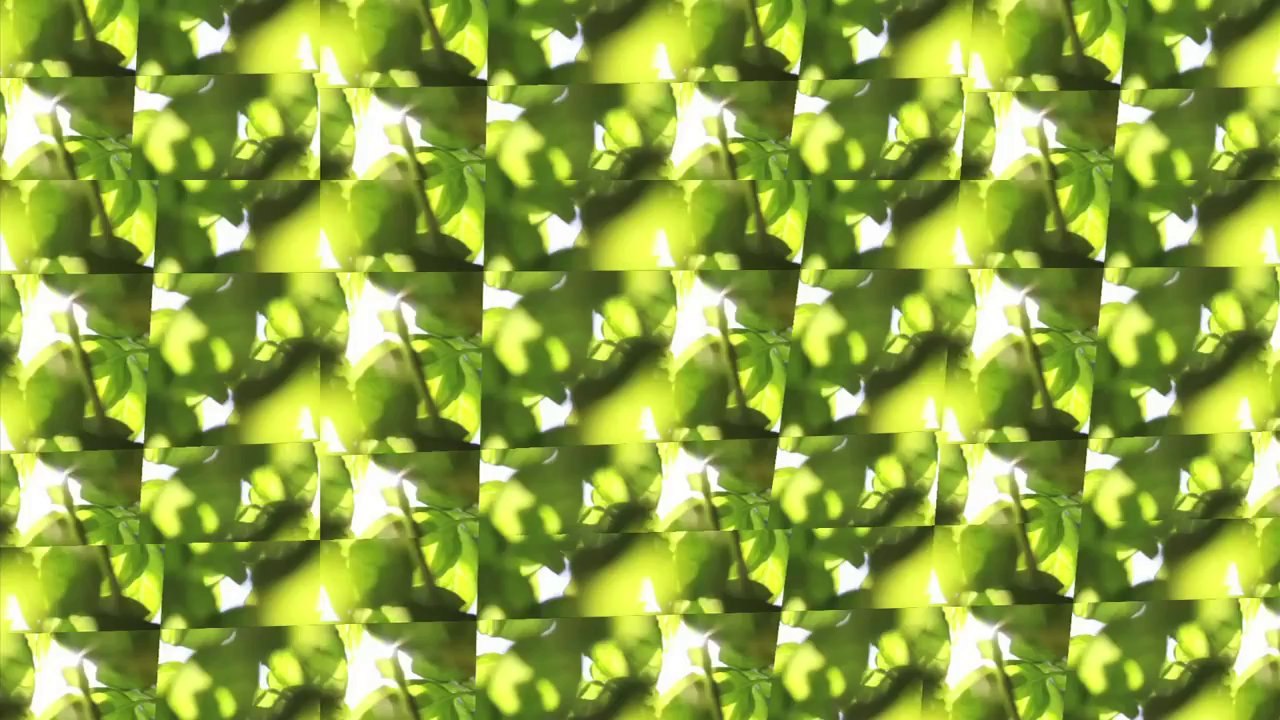 Djbeater - over and out  /full film/ganzer film/complete movie