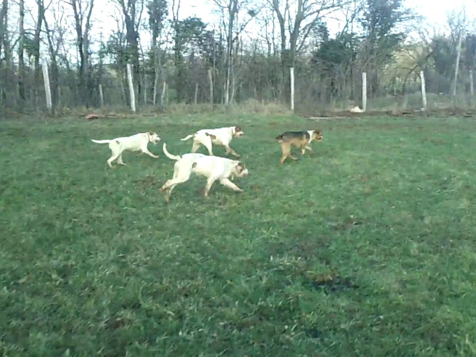 jeunes de 9 et 10 mois au parc