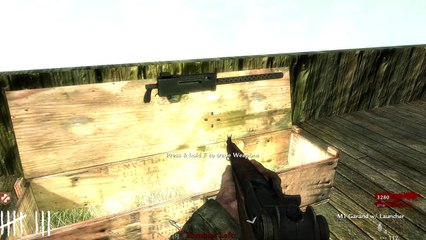 Call of Duty Zombies ★ KLO ★ Custom Zombies