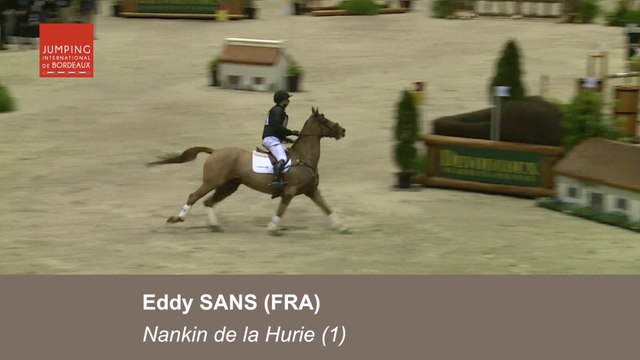 Devoucoux Indoor Derby - Eddy SANS