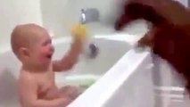 Cute baby vs puppy funny video . Funny baby laughing hysterically . Most funny baby video