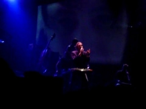 Alain Bashung -printemps de Bourges 2004