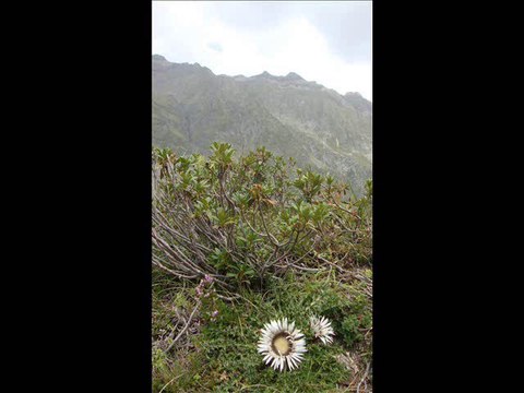 Le Lac de Badet (Piau-Engaly)