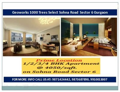 GEOWORKS 1000 TREES sELECT~@~9873687898~@~sOHNA ROAD SEC 6