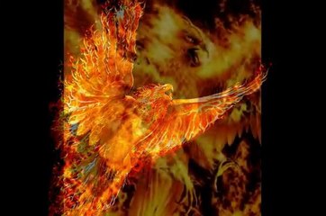 В Астрахани недовольные жильцы дома сожгли BMW X6 инородца-кавказца