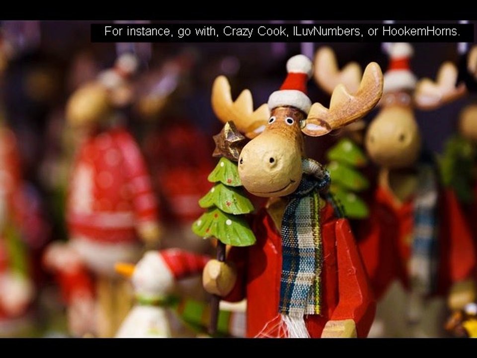 funny animal pictures website