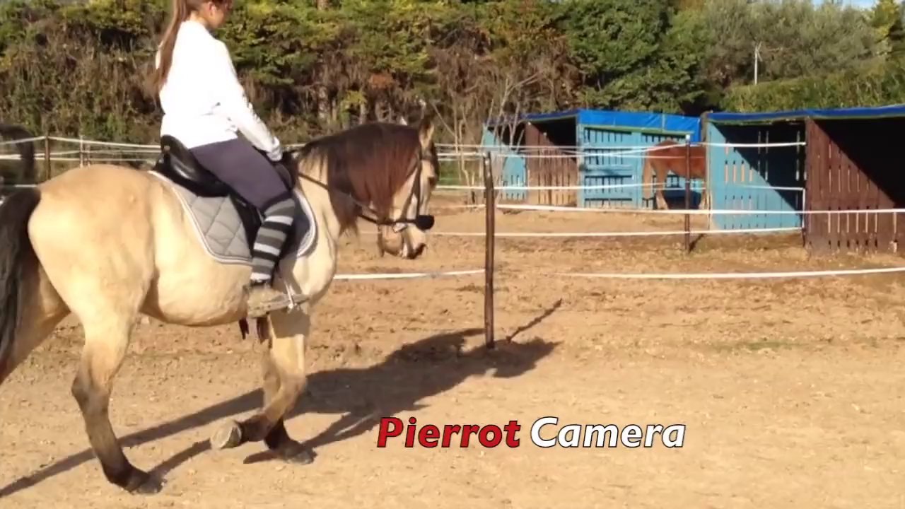 Pequeño