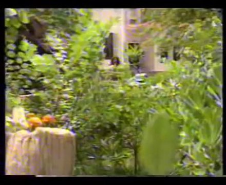 Barış Manço - Söyle Zalim Sultan