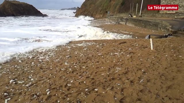 Houle de la décennie . Les premiers signes à Clohars-Carnoët ?