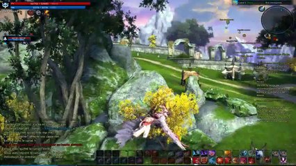 Tera - période de festivités, sapins de Noël et balade