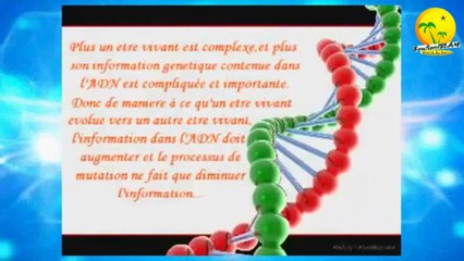Réfutation scientifique des pseudo-arguments des évolutionnistes (Neo-darwinistes)_ sélection naturelle et mutation.