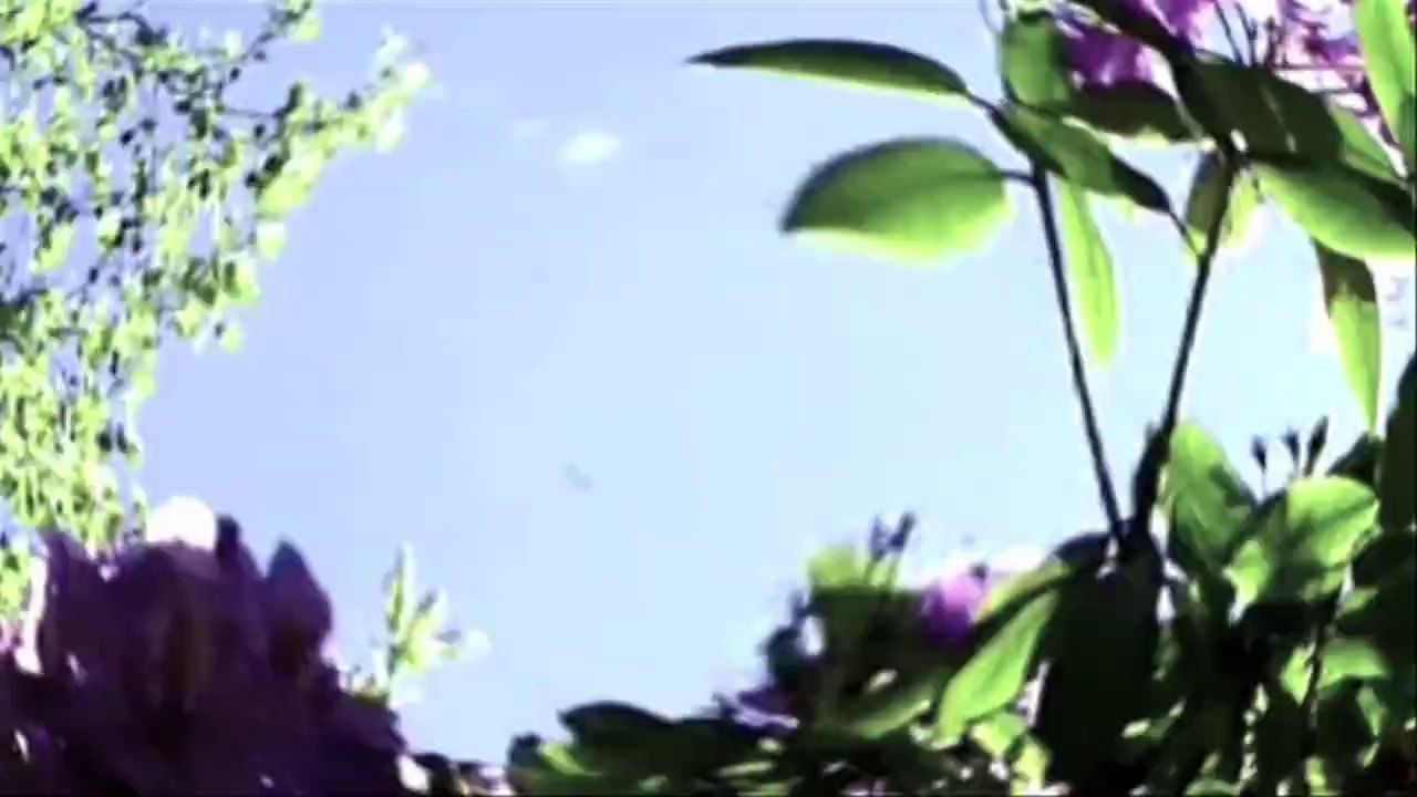 Melter - Heatbe  /Full Film/Ganzer Film/Complete Movie