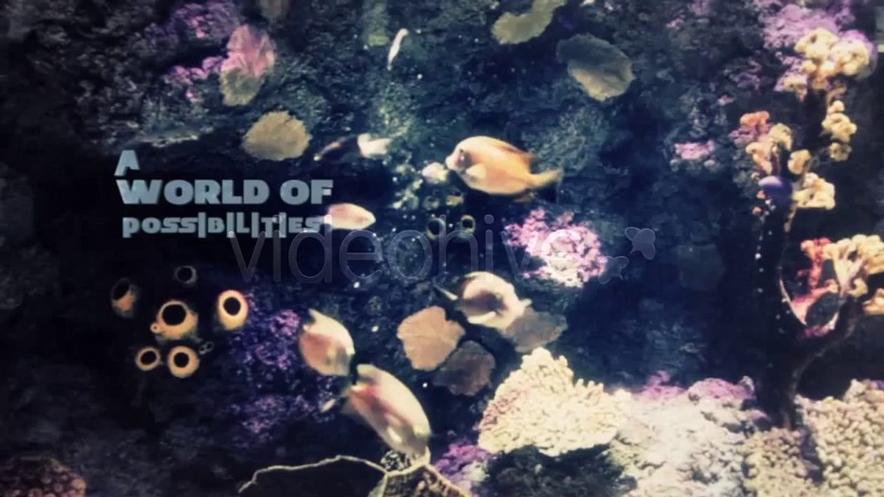 The Place - After Effects Template