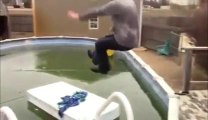 Crazy DAD jumping in a frozen pool... Epic Fail!