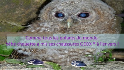 A chacun ses chaussures GEOX ®