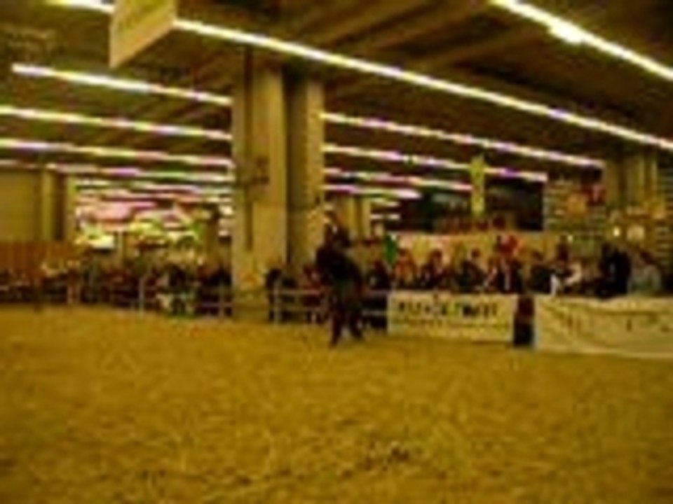 Petagedeplons