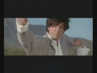 la vache karate