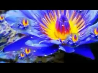 Coming of Holy Prophet Muhammad (S.A.W.)