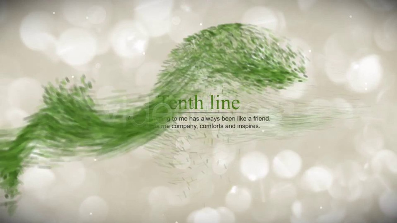 Stylish Words - After Effects Template
