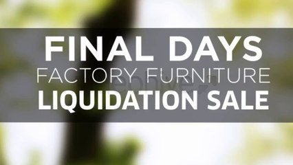 Blinds Revealer - After Effects Template