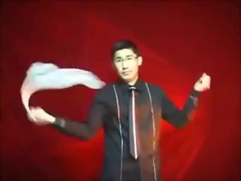 Silk to Ball (Automatic) china magic kingmagic.