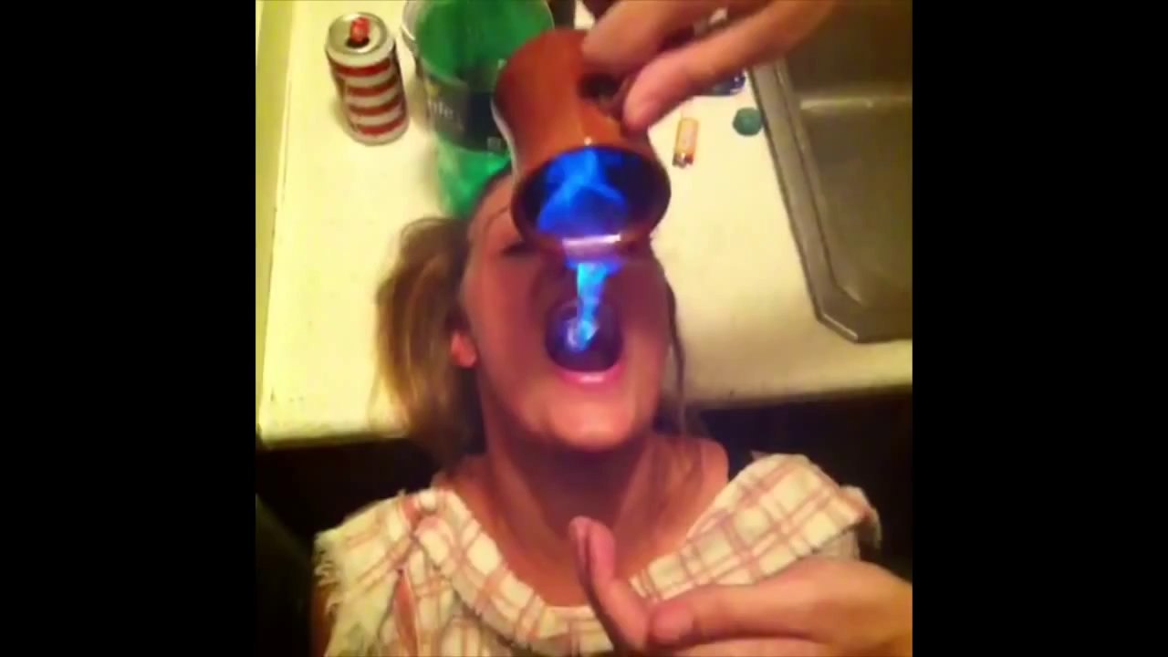 Le Zap de Vine n°2