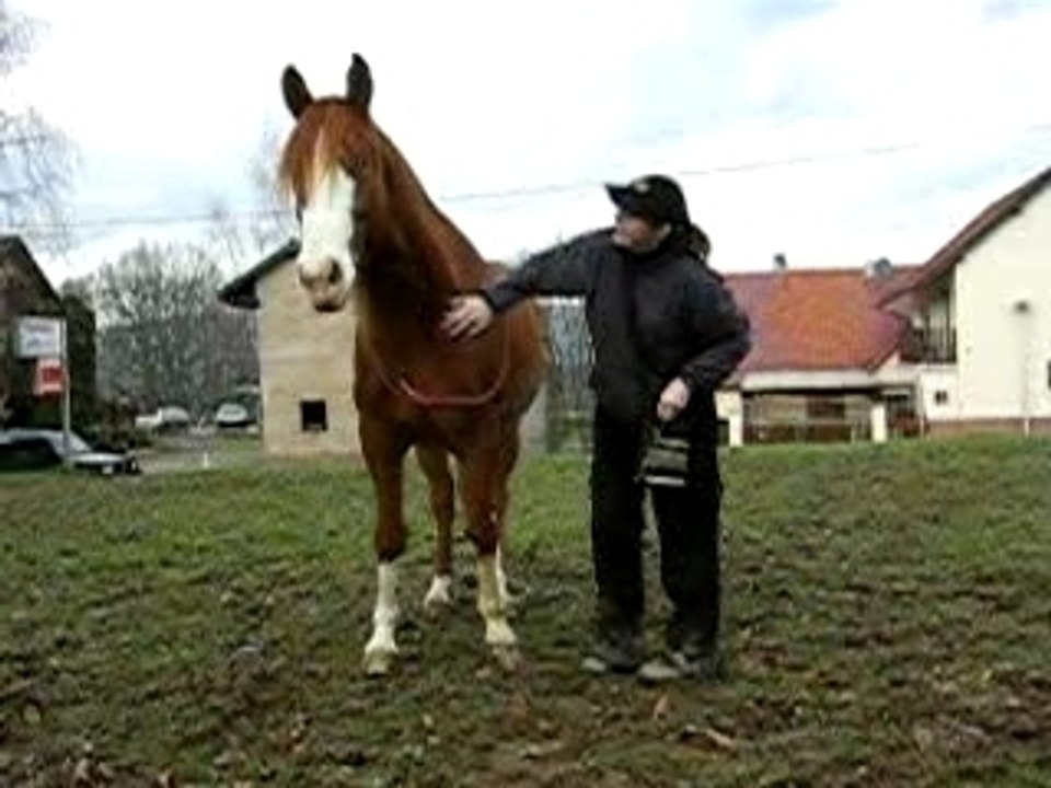 Aspiration epaules hanches