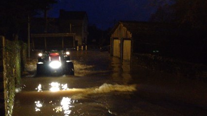 Opération sauvetage de 250 porcs à Malestroit