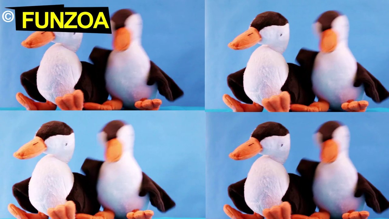 Oops! What The Duck-Funny Hiphop Teddy Music Video