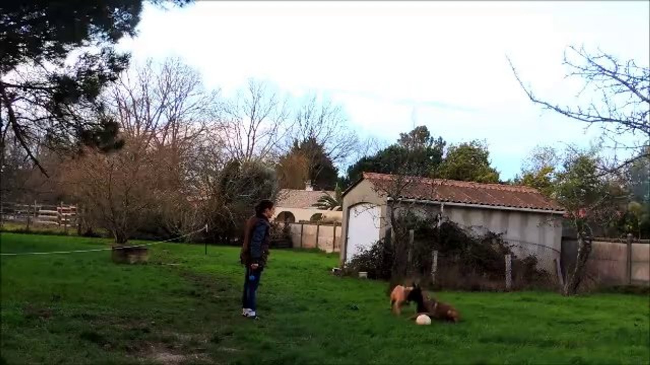 obé3
