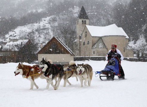 Championnat de France de chiens de traineau dans les Alpes