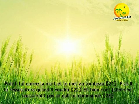 Macha'Allah une récitation très douce par la petite musulmane Bara'a (Sourate Abassa)