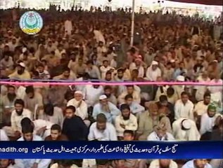 آل اہل حدیث کانفرنس، مینار پاکستان لاہور. 13۔ پروفیسر عبد الستار حامد صاحب