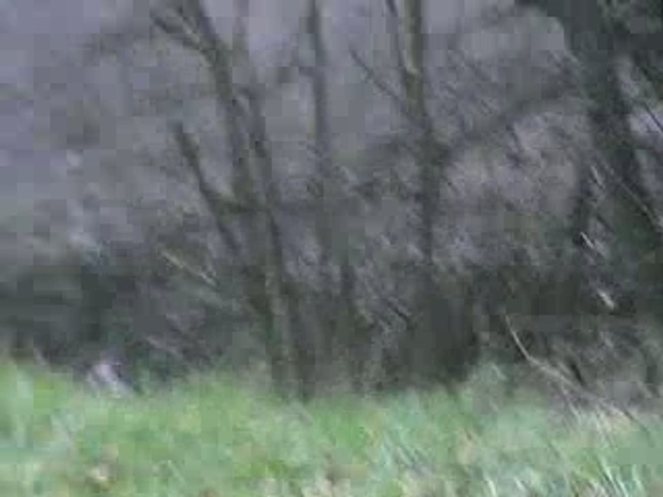 Tracteurs au Mont-Verdun