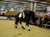 Salon du Cheval- Echauffement...