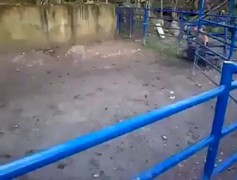 Stupid Man