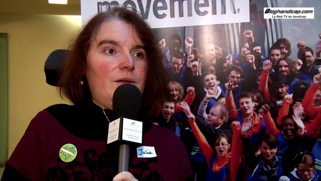 Journée de l'accessibilité 2013 - bloghandicap.com - La Web TV du Handicap