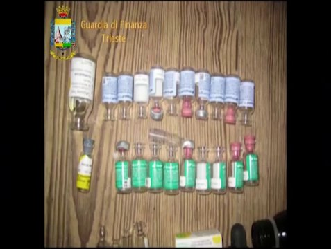 Trieste - Cucciolo d'oro - Traffico ilegale di animali da compagnia (08.02.14)