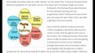 Treehouse Nursery School | EYFS Curriculum Framework
