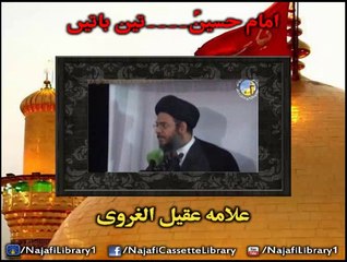 امام حسینؑ ۔۔۔ تین باتیں۔ مولانا عقیل الغروی