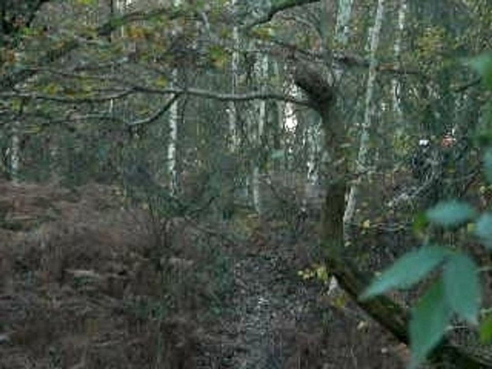 26.11 (8)
