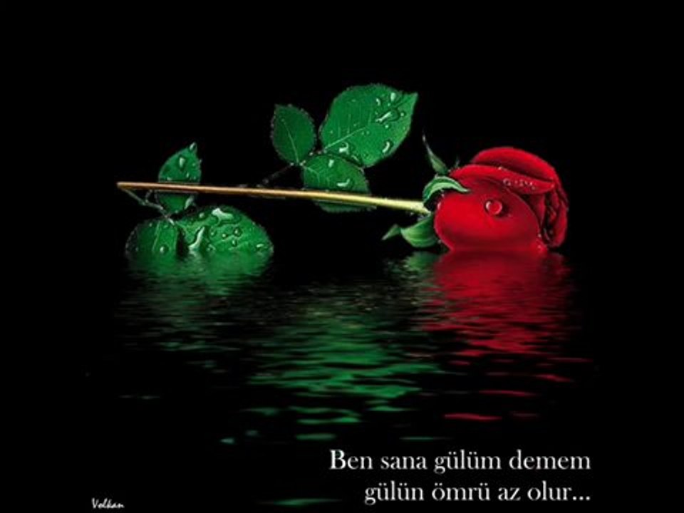Eylem Aktaş Fikrimin Ince Gülü Indir