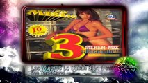 Las Mujeres Lo Bailan Bien (Remix) - Los Toros Band ♫♫ To' Mixeao 3 ♫