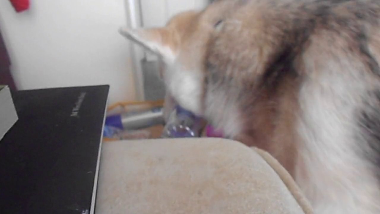 Recycling bin 09/02/14