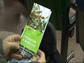 PISTACCHIO: PERCHE' NO? Stigliano 8-2-2014