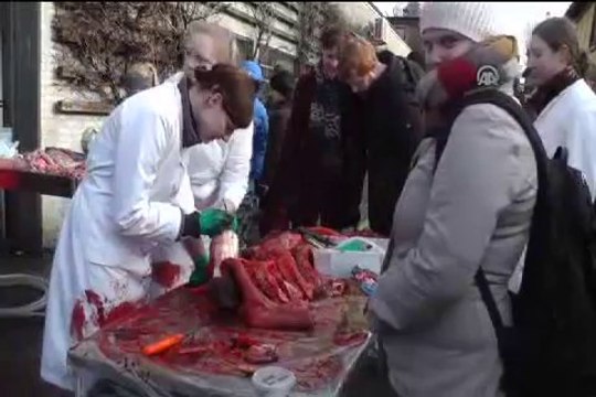 Zürafa Marius kesimden kurtulamadı